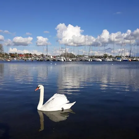 Meerraum 2 Comfortable *