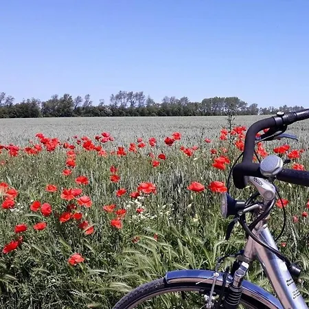 Meerraum 2 Comfortable 度假居 *