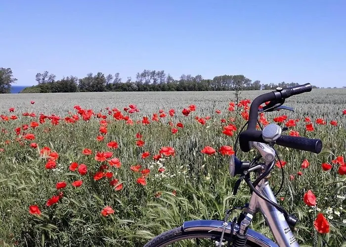 Meerraum 2 Comfortable Hébergement de vacances *